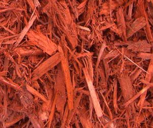 Red-dyed wood mulch
